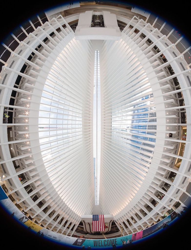 One world trade center oculus eye